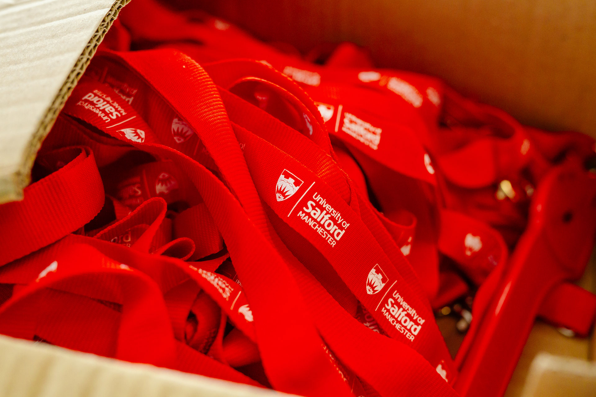 TEDx event brand management